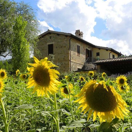 Appartamenti Verde Collina Umbra Bevagna Extérieur photo