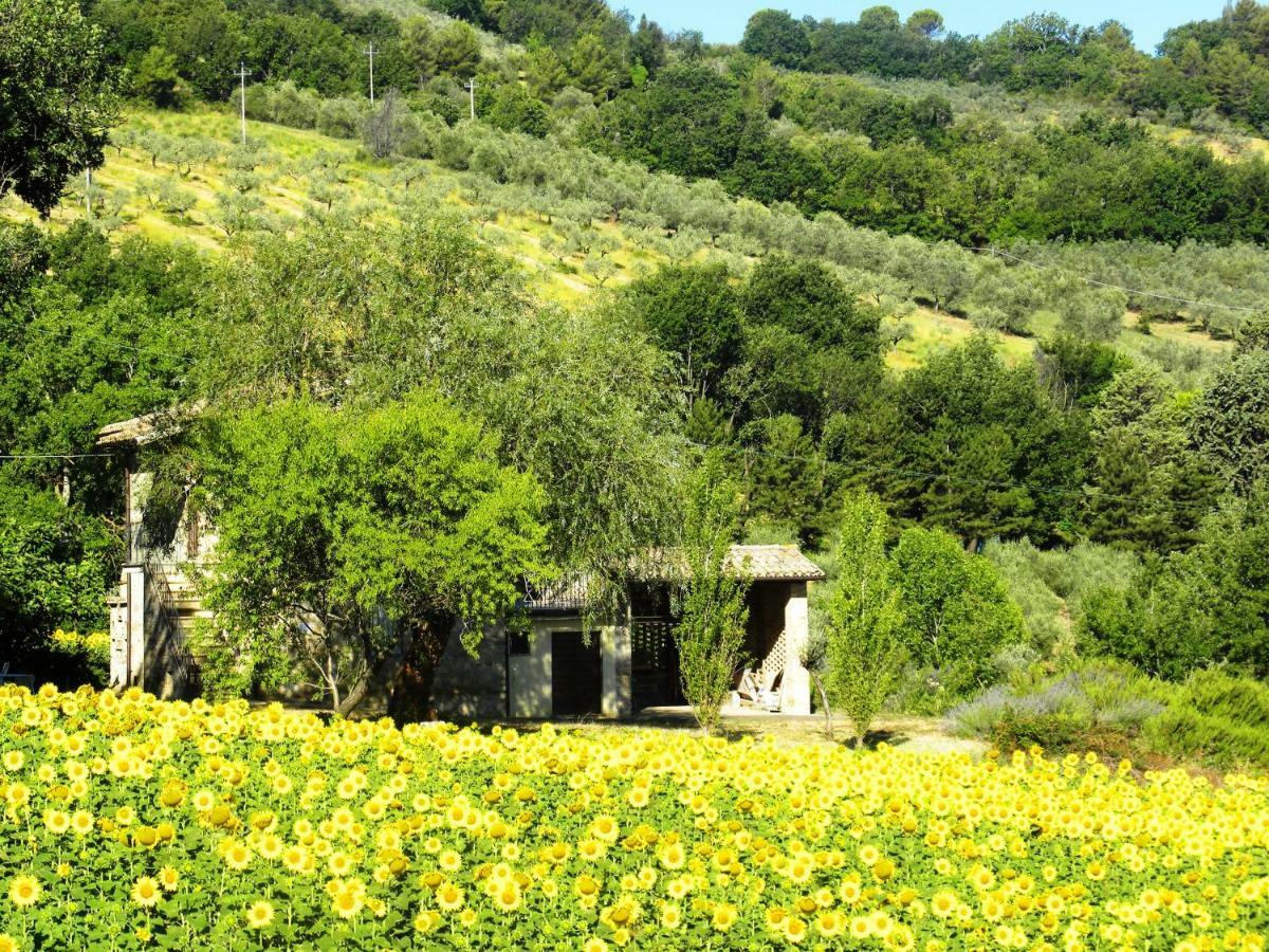 Appartamenti Verde Collina Umbra Bevagna Extérieur photo